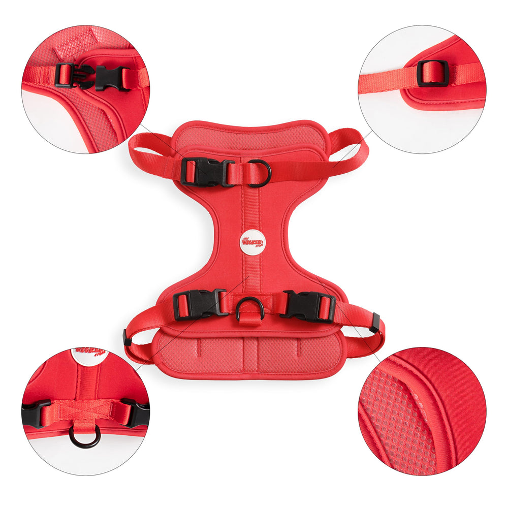 HARNAIS ARLO THE LICKER STORE boucles-plastiques-durables et faciles à utiliser.