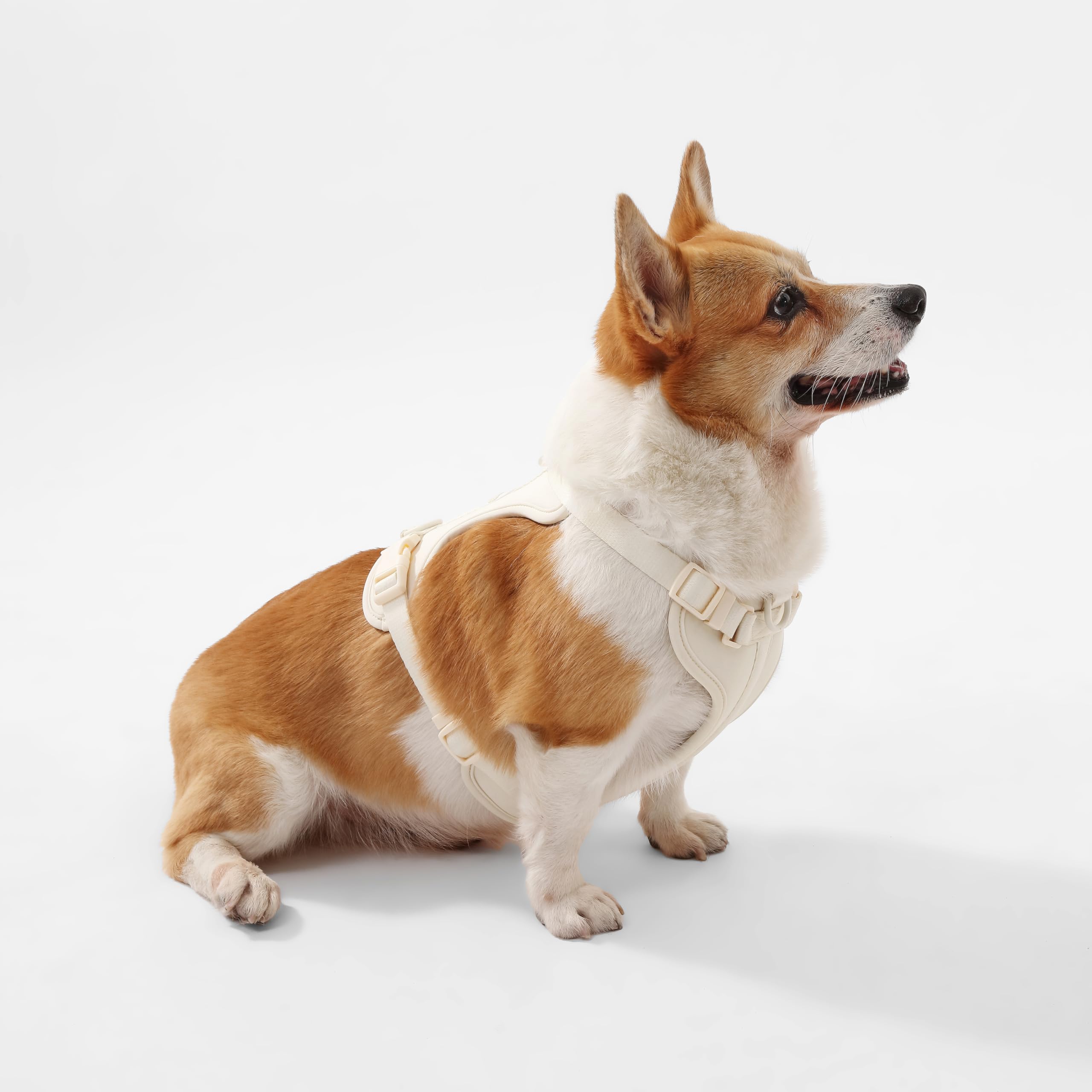 The Licker Store Arlo couleur amande pour un look discret.