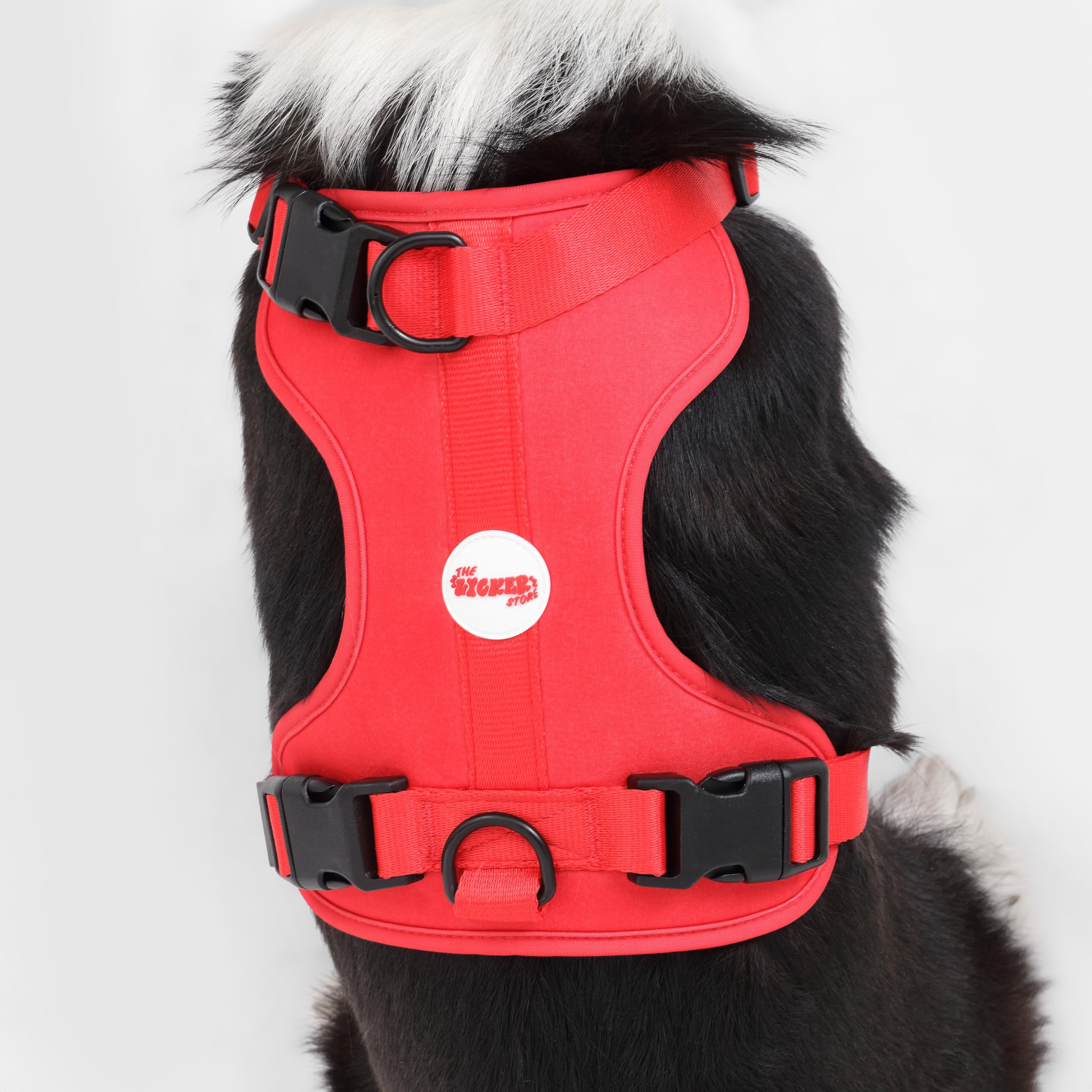 HARNAIS ARLO THE LICKER STORE design-classique pour une apparence fiable et légère.