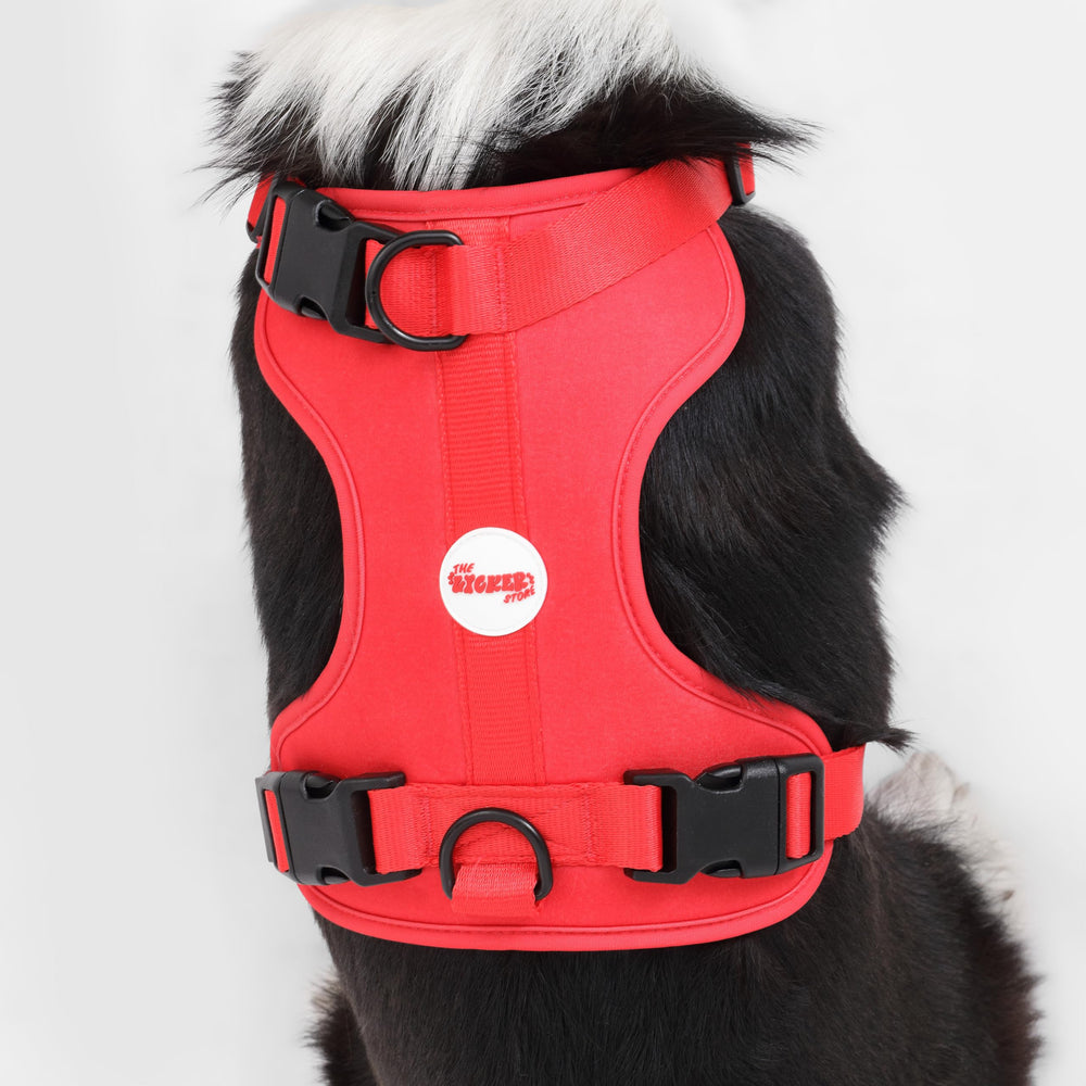 HARNAIS ARLO THE LICKER STORE design-classique pour une apparence fiable et légère.