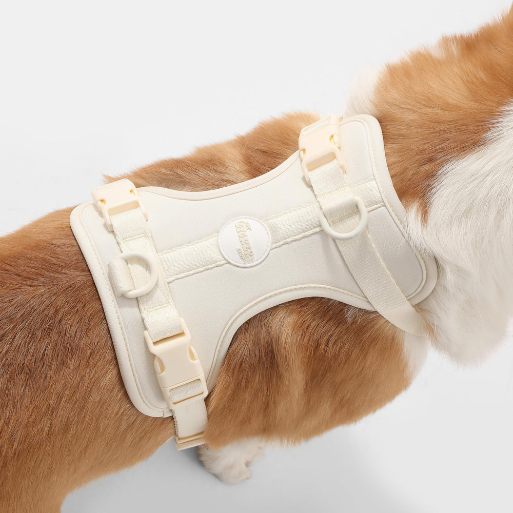 The Licker Store Arlo harnais respirant pour les sorties quotidiennes.