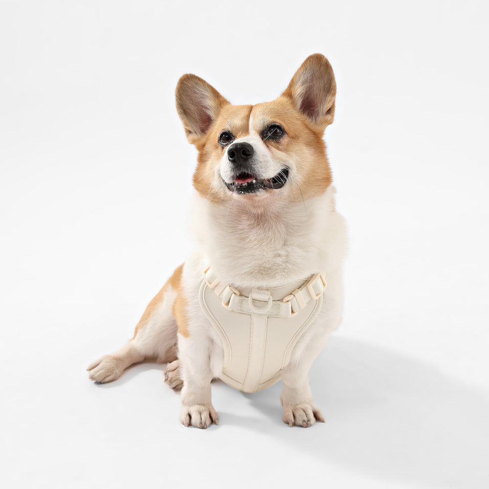 The Licker Store Arlo nylon durable et lavable pour l entretien.