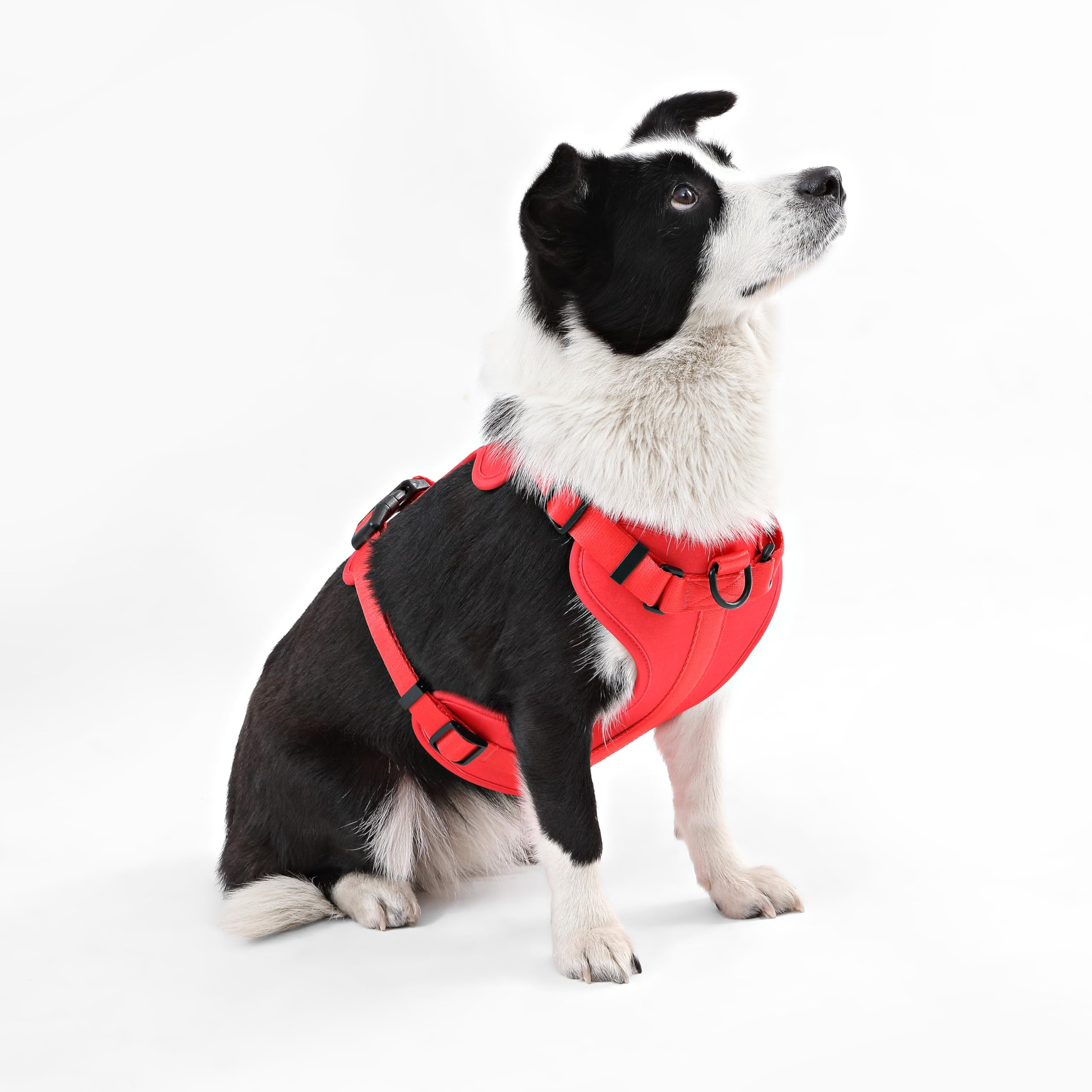 HARNAIS ARLO THE LICKER STORE quatre-sangles-ajustables pour un ajustement parfait.