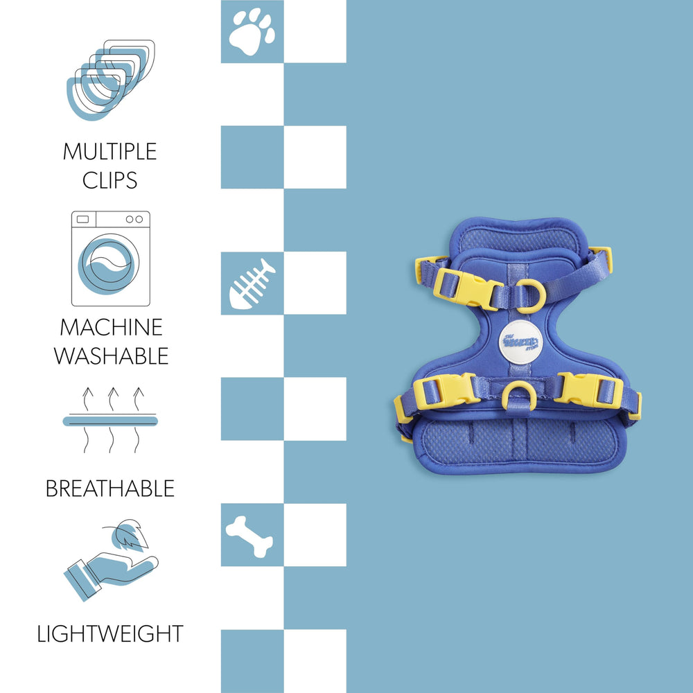 THE LICKER STORE HNS1000C Arlo: attaches en D sur l'avant et l'arrière facilitant la laisse.