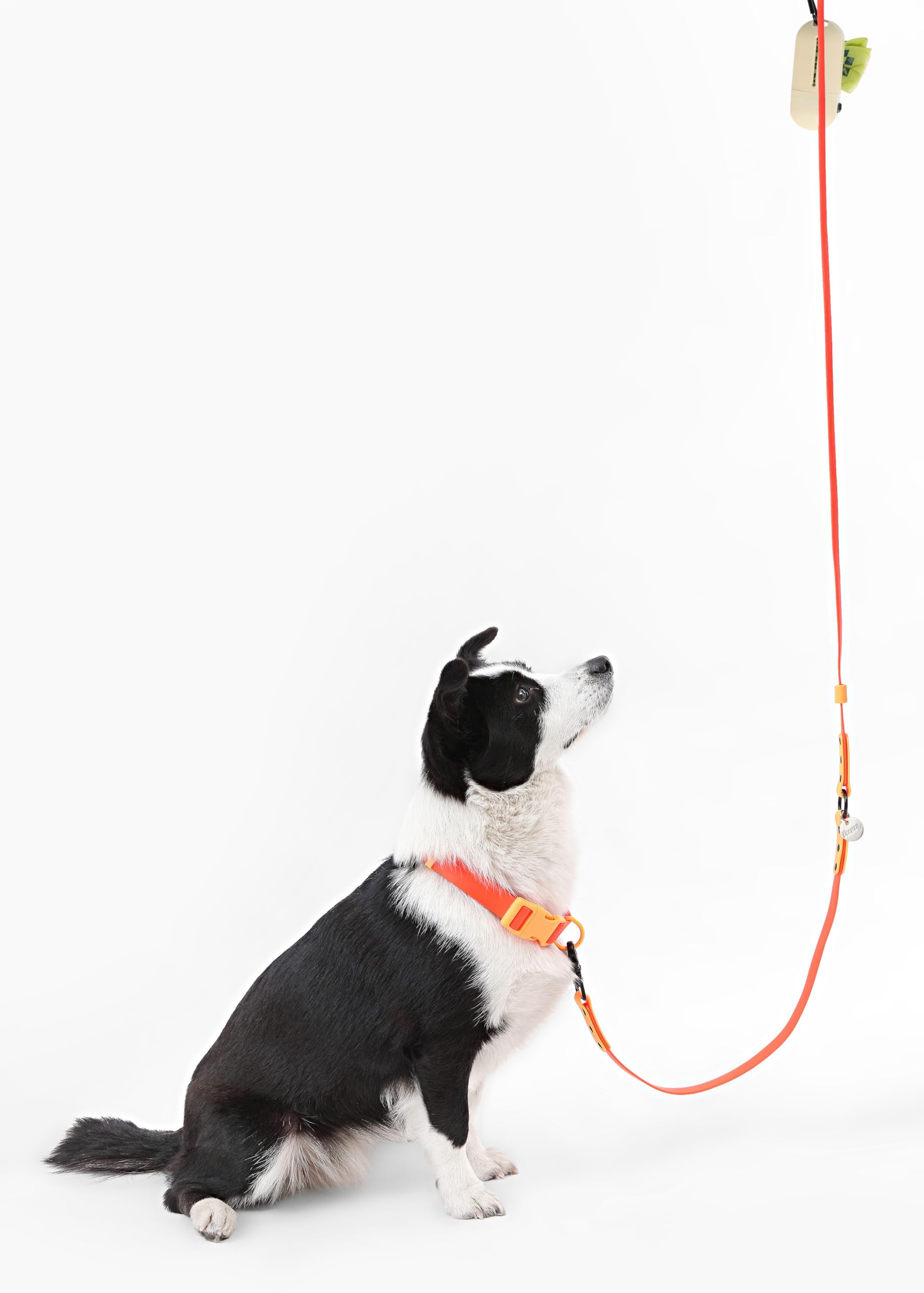 THE LICKER STORE Luna Large design 6-en-1 pour promenades variées.