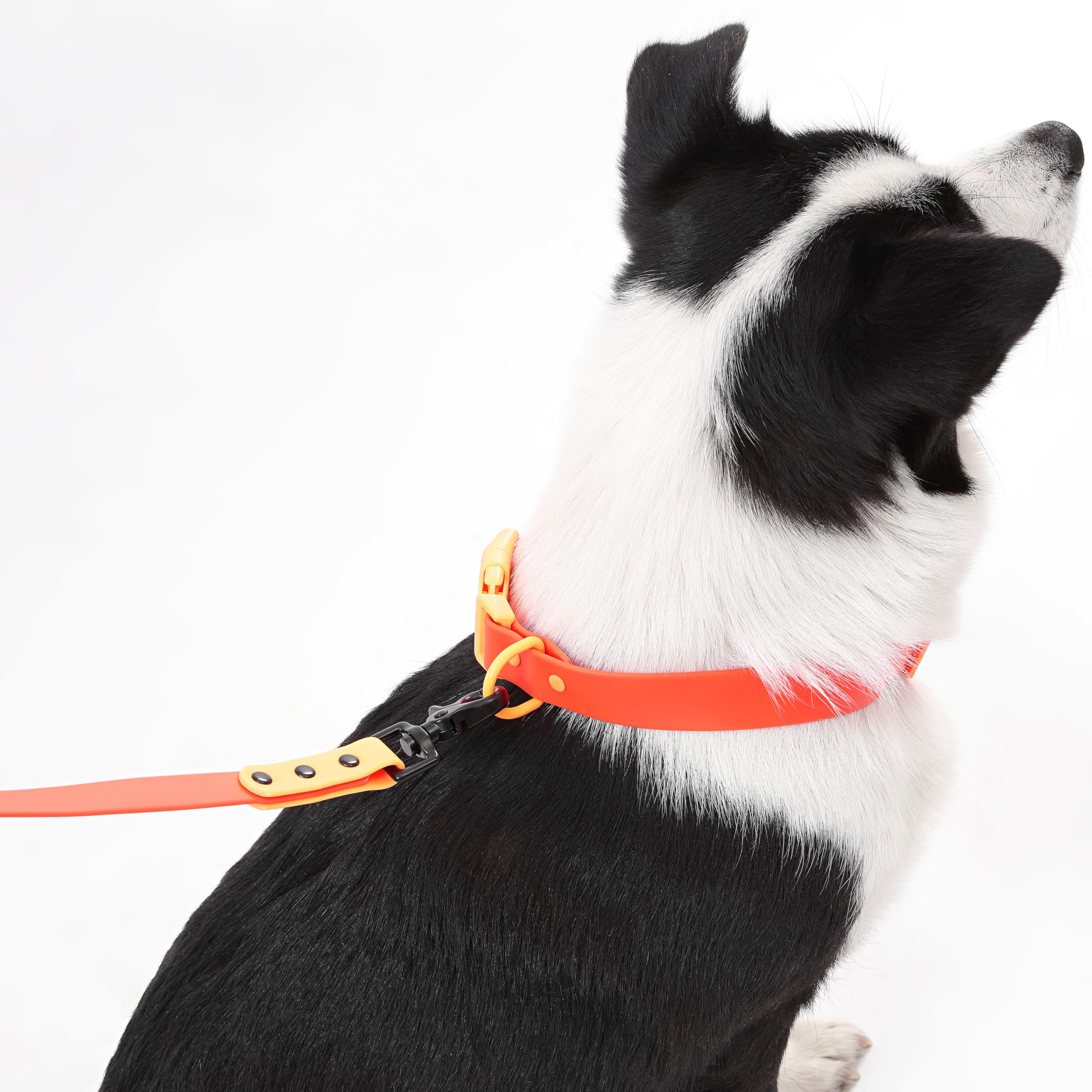 THE LICKER STORE Luna Large tissu PVC-coat durable et étanche.