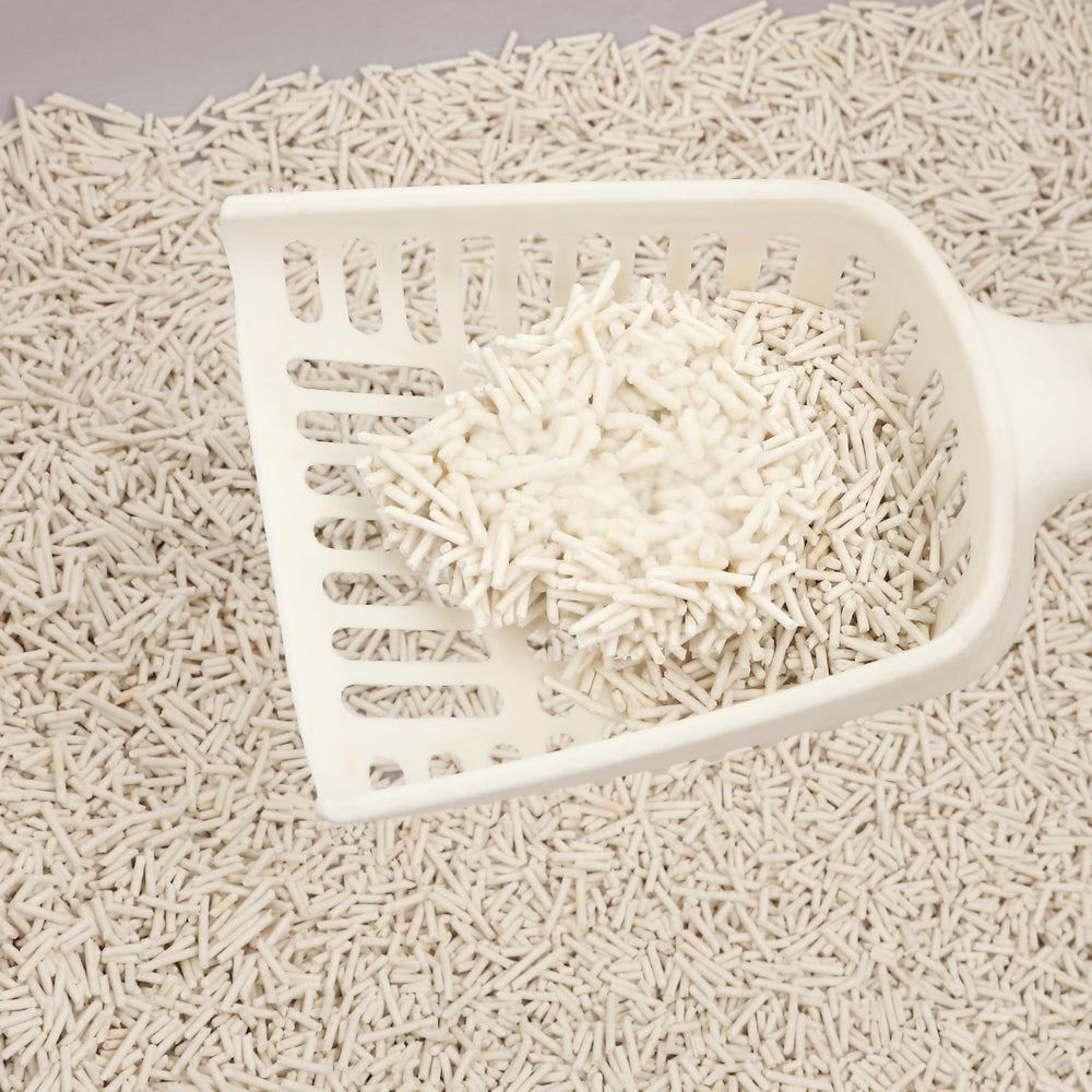 The Licker Store litière tofu flushable selon les règles locales.