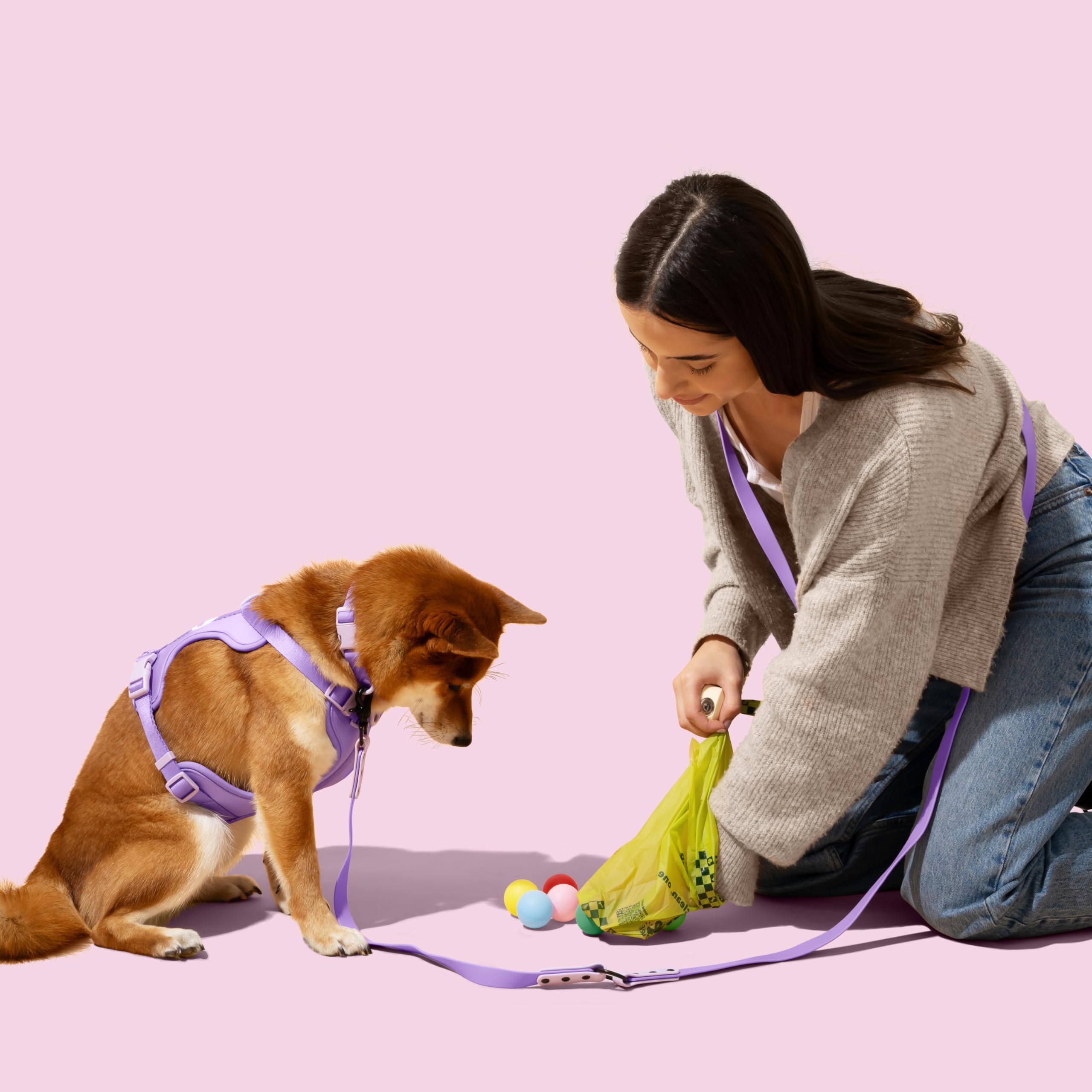 Distributeur THE LICKER STORE avec sacs pour ramassage pratique lors des promenades