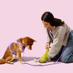 Distributeur THE LICKER STORE avec sacs pour ramassage pratique lors des promenades