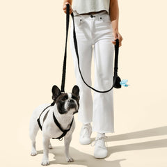 Longe THE LICKER STORE WLK1000C-4SET, noir et légère pour promenades quotidiennes.