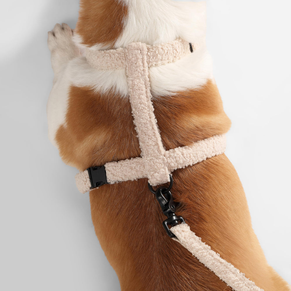 THE LICKER STORE WLK1002A attache-laisse intégré camel, accessoire pratique en balade.