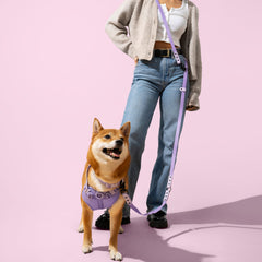 THE LICKER STORE Luna – collier violet à deux teintes, durable et facile à nettoyer.