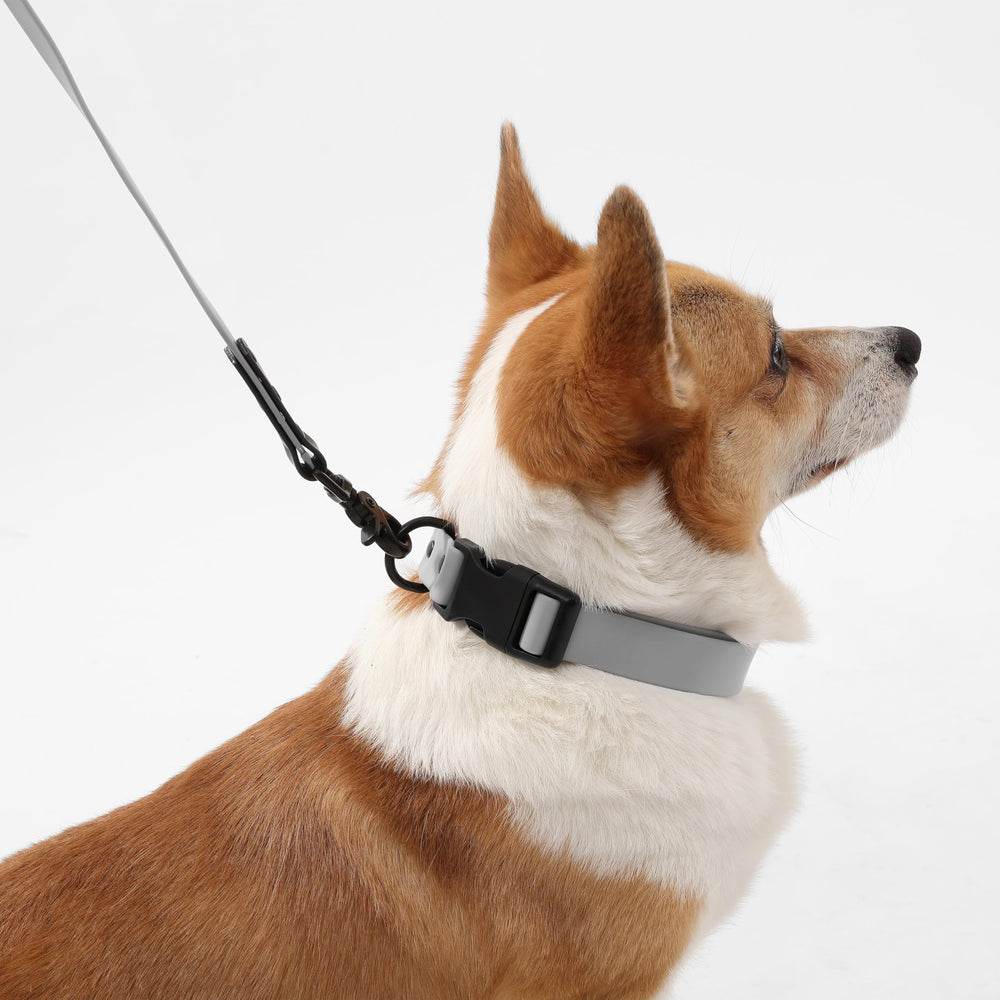 Marque THE LICKER STORE WLK1005N-5SET Laisse 6-en-1 polyvalente pour toutes les promenades