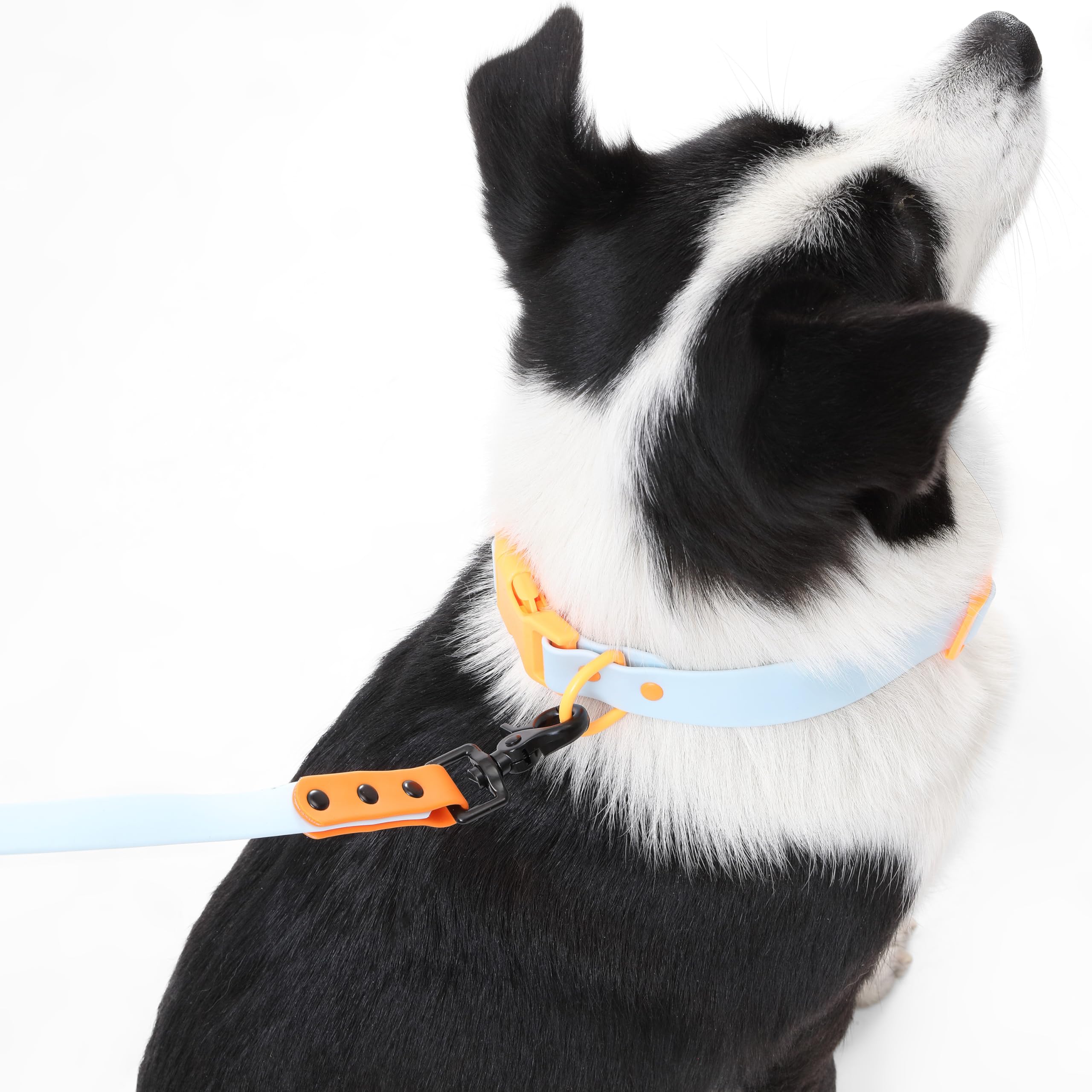 THE LICKER STORE Luna design bleu orange attire l'attention.