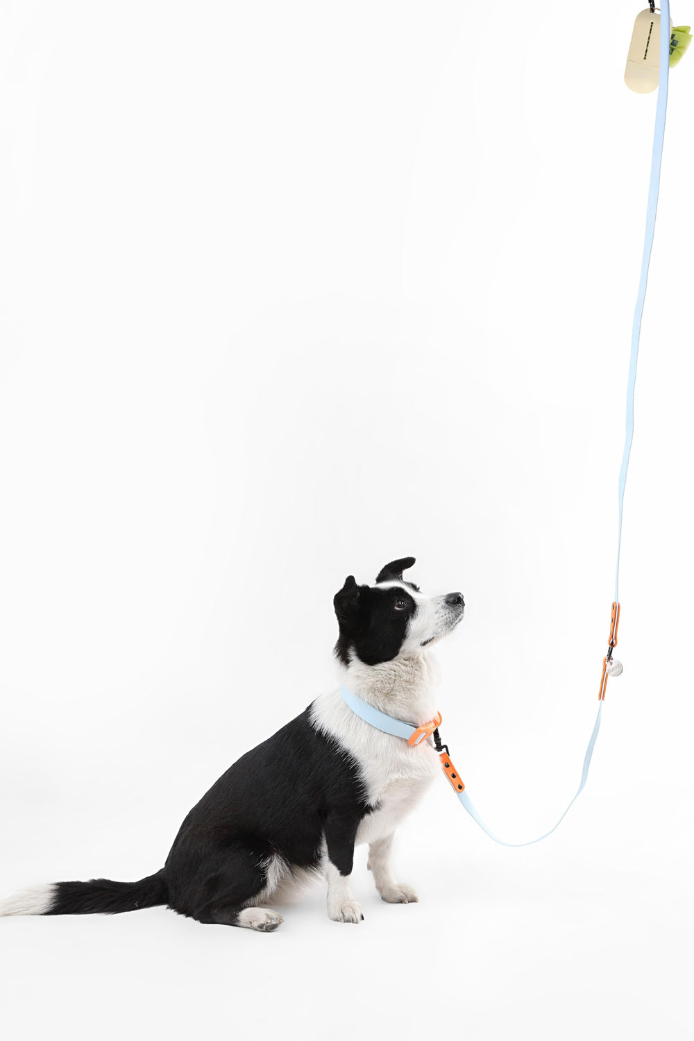 THE LICKER STORE Luna conception étanche et durable pour tous temps.