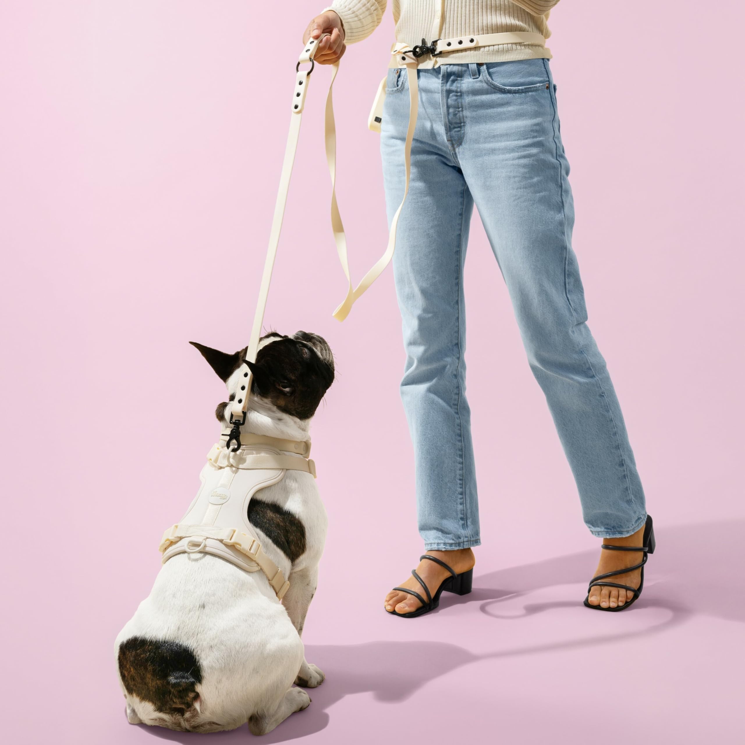 THE LICKER STORE WLK1006L-5SET Luna Large - collier amande, confort durable