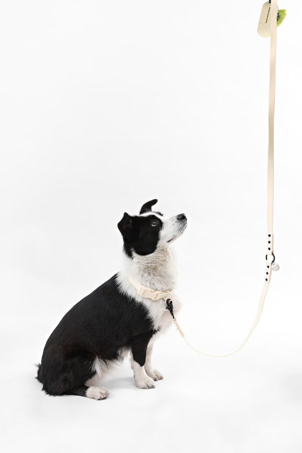 THE LICKER STORE WLK1006L-5SET Luna Large - support-sac dechets pour promenades sans effort