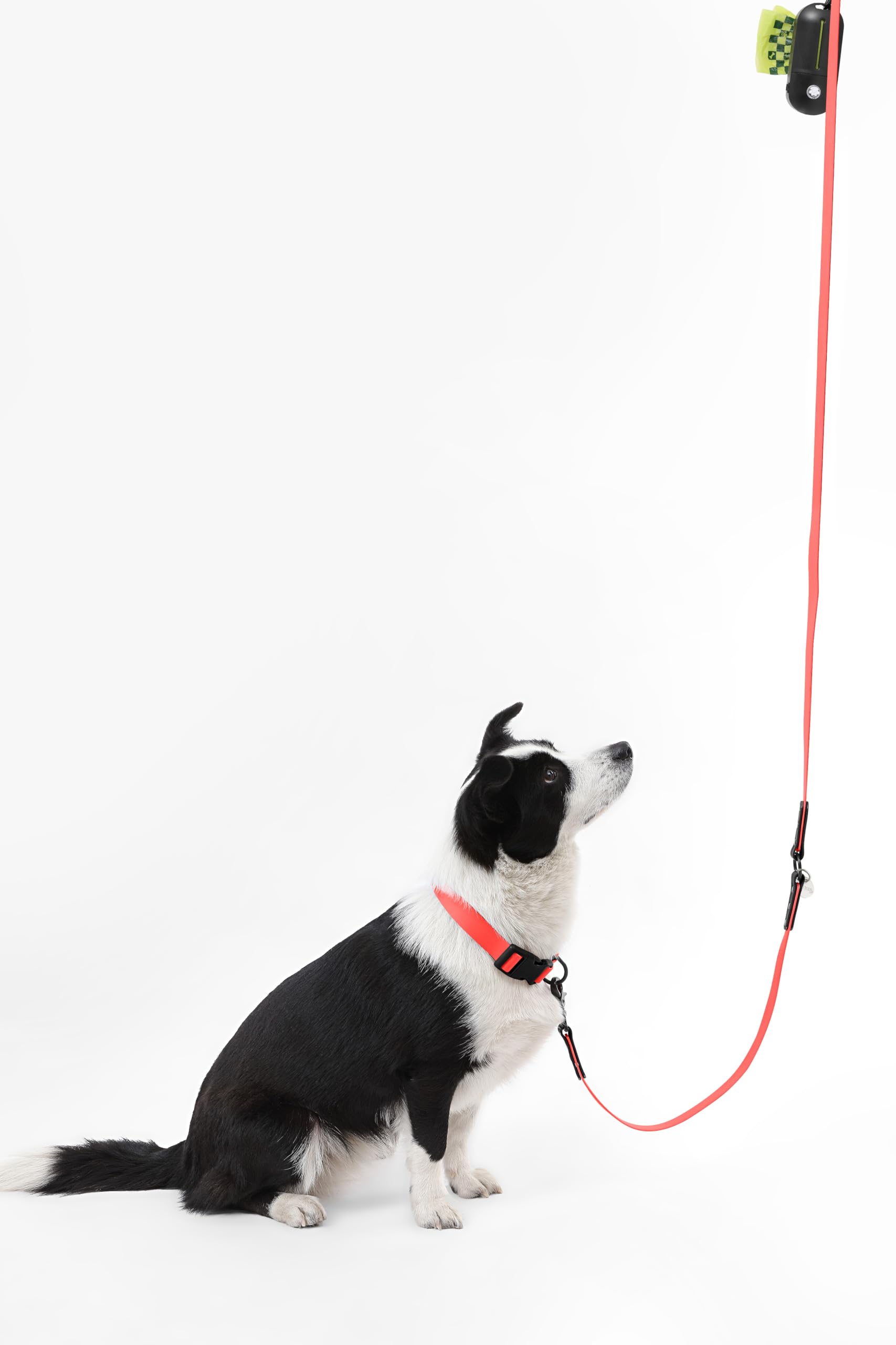 THE LICKER STORE WLK1006M-5SET Luna Large: réglage 6-en-1 pour diverses configurations.