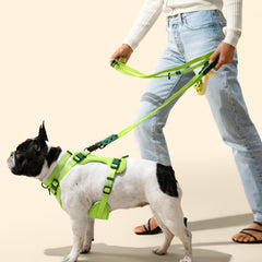 THE LICKER STORE WLK1005B-5SET Luna, collier bicolor vert, résistant et confortable.