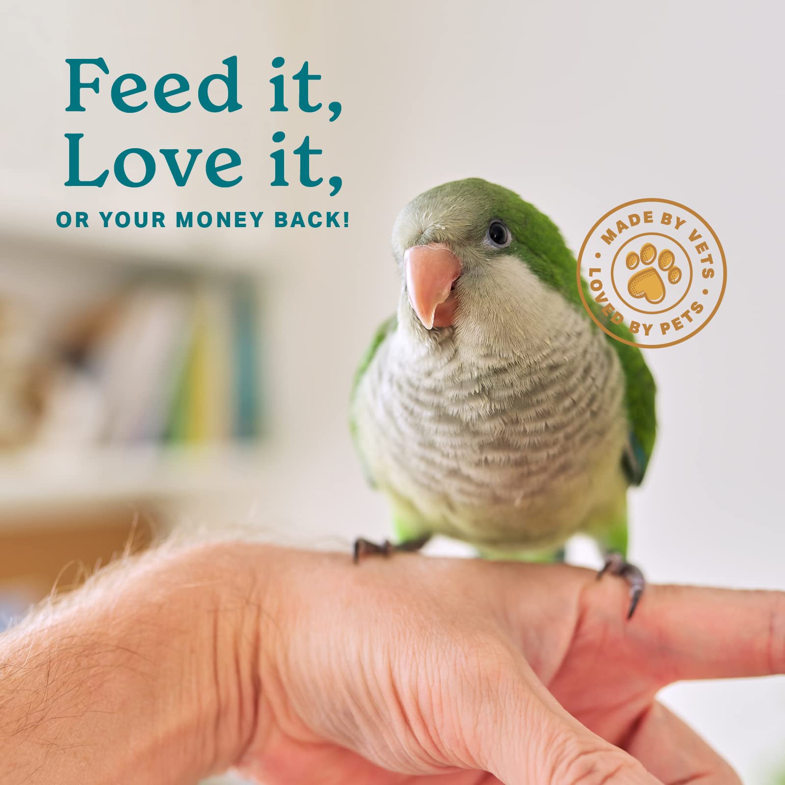 The Missing Link Avian Color & Shine, poudre-non-gmo, formule à partir de super-aliments non OGM.