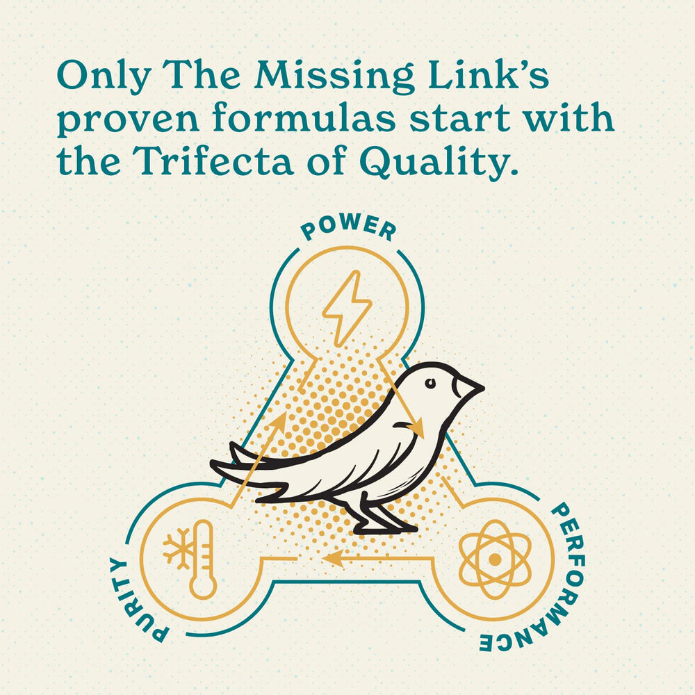 The Missing Link Avian Color & Shine, poudre-processus-froid, préserve valeurs nutritionnelles essentielles.