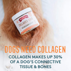 The Missing Link Collagen Care, mobilisation quotidienne pour chiens grâce à une formule naturelle