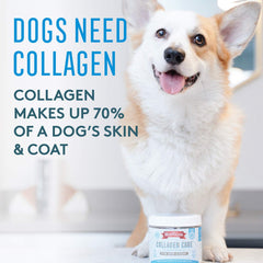 Texture moelleuse des bouchées The Missing Link Collagen Care pour chien