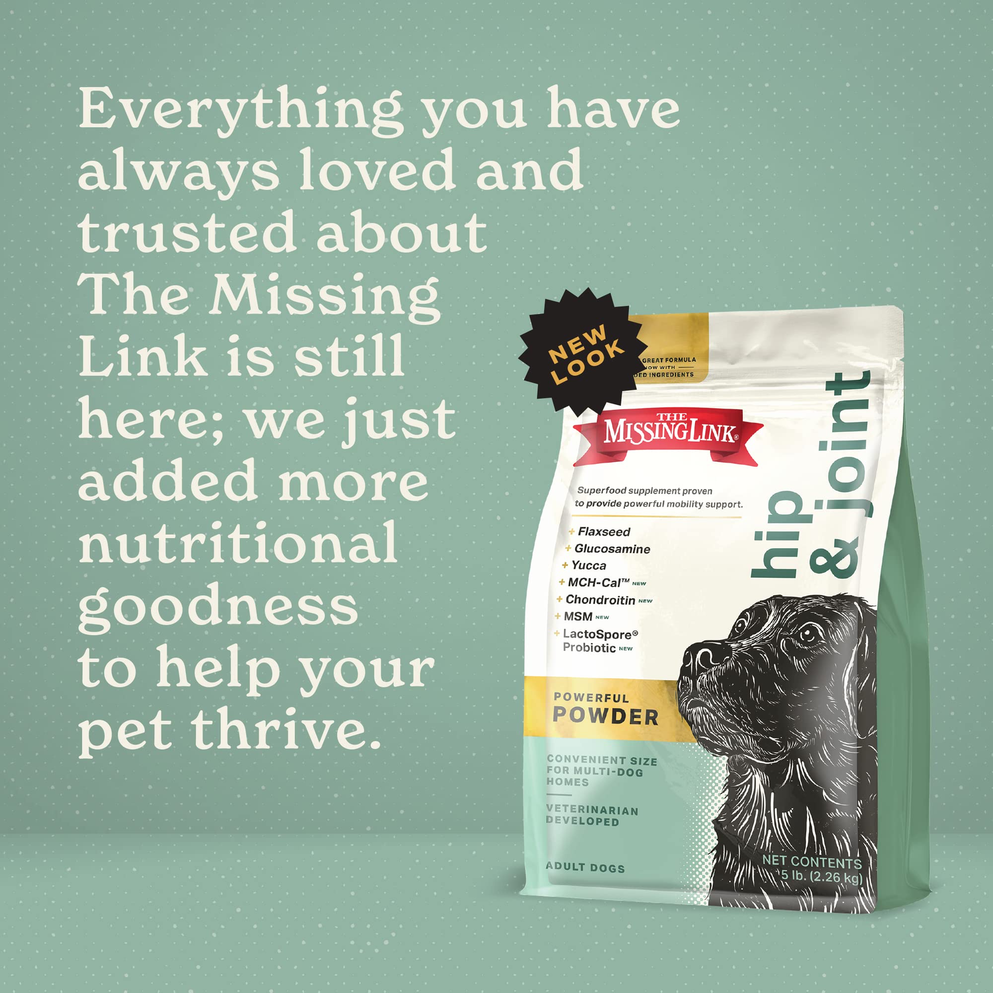 The Missing Link glucosamine chondroïtine MSM soutien articulations