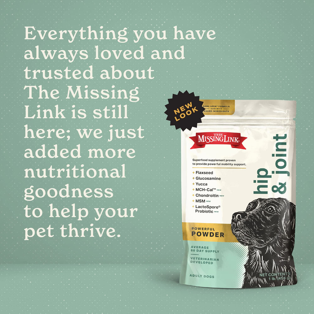 The Missing Link Glucosamine et Chondroïtine, ingrédients clés pour le confort articulaire.