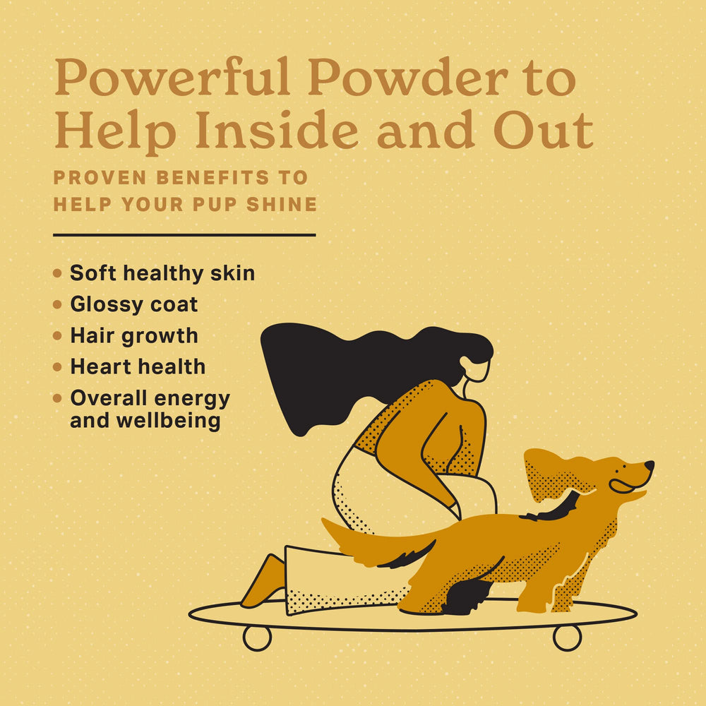 The Missing Link poudre-probiotiques pour peau et pelage