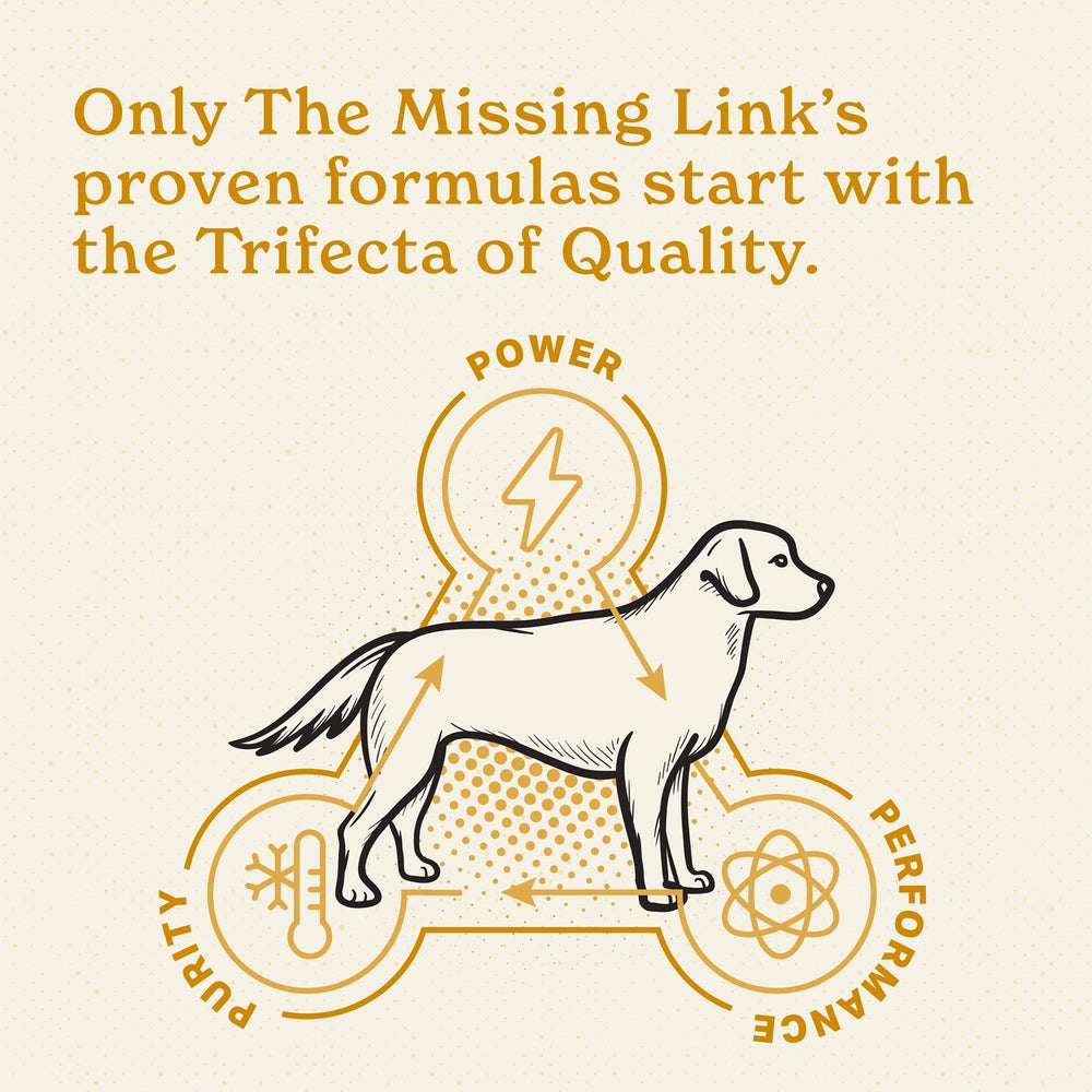 The Missing Link assemblage pratique avec emballage et instructions claires