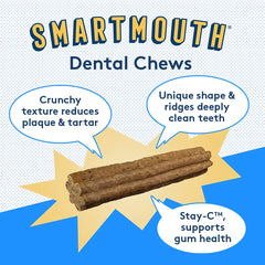 The Missing Link Smartmouth nettoyage dentaire en profondeur pour dents et gencives saines.