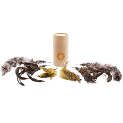 Clip simple sur le jouet chat pour un remplacement rapide des plumes.