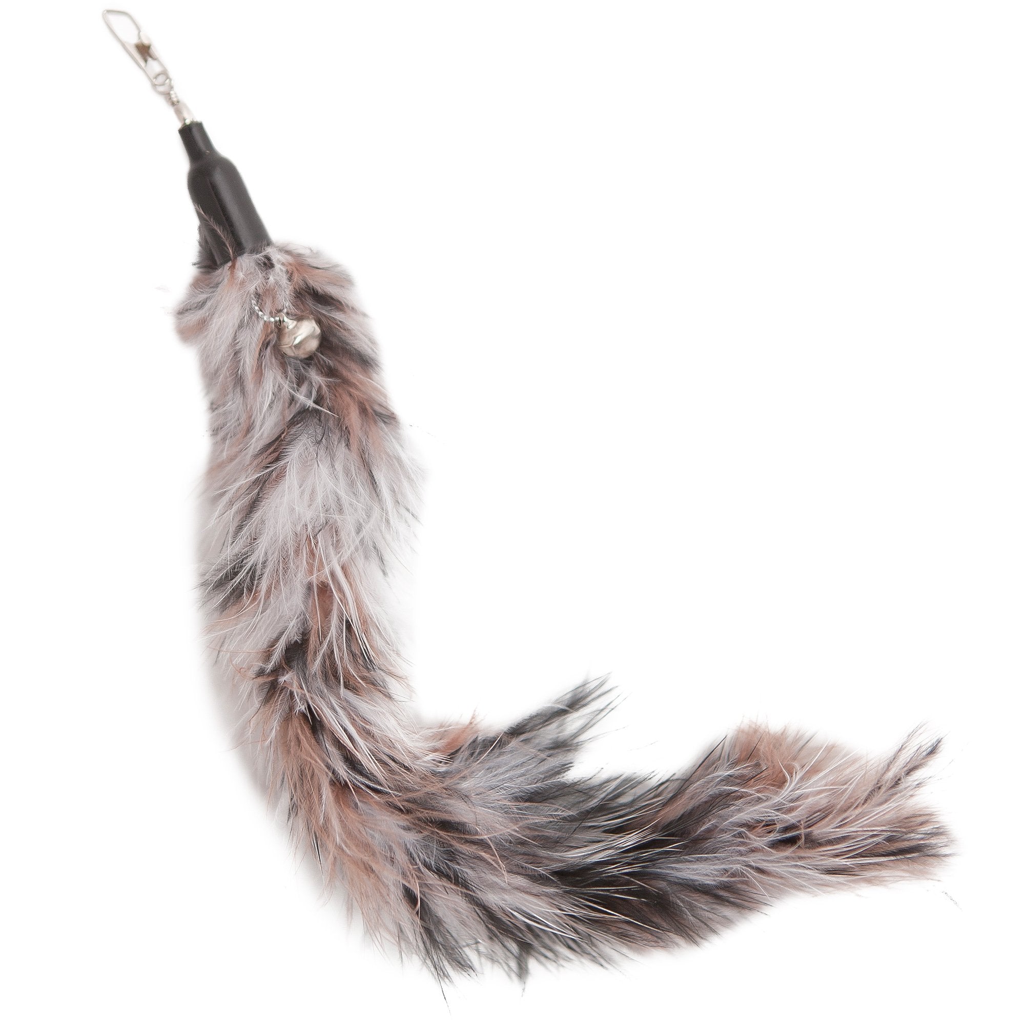 Plumes aux couleurs vives excitant l’attention et l’imagination du chat.