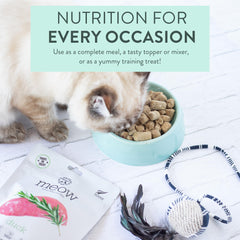 The New Zealand Natural Pet Food Co Meow Duck – topper et mixeur pour varier les repas des chats.