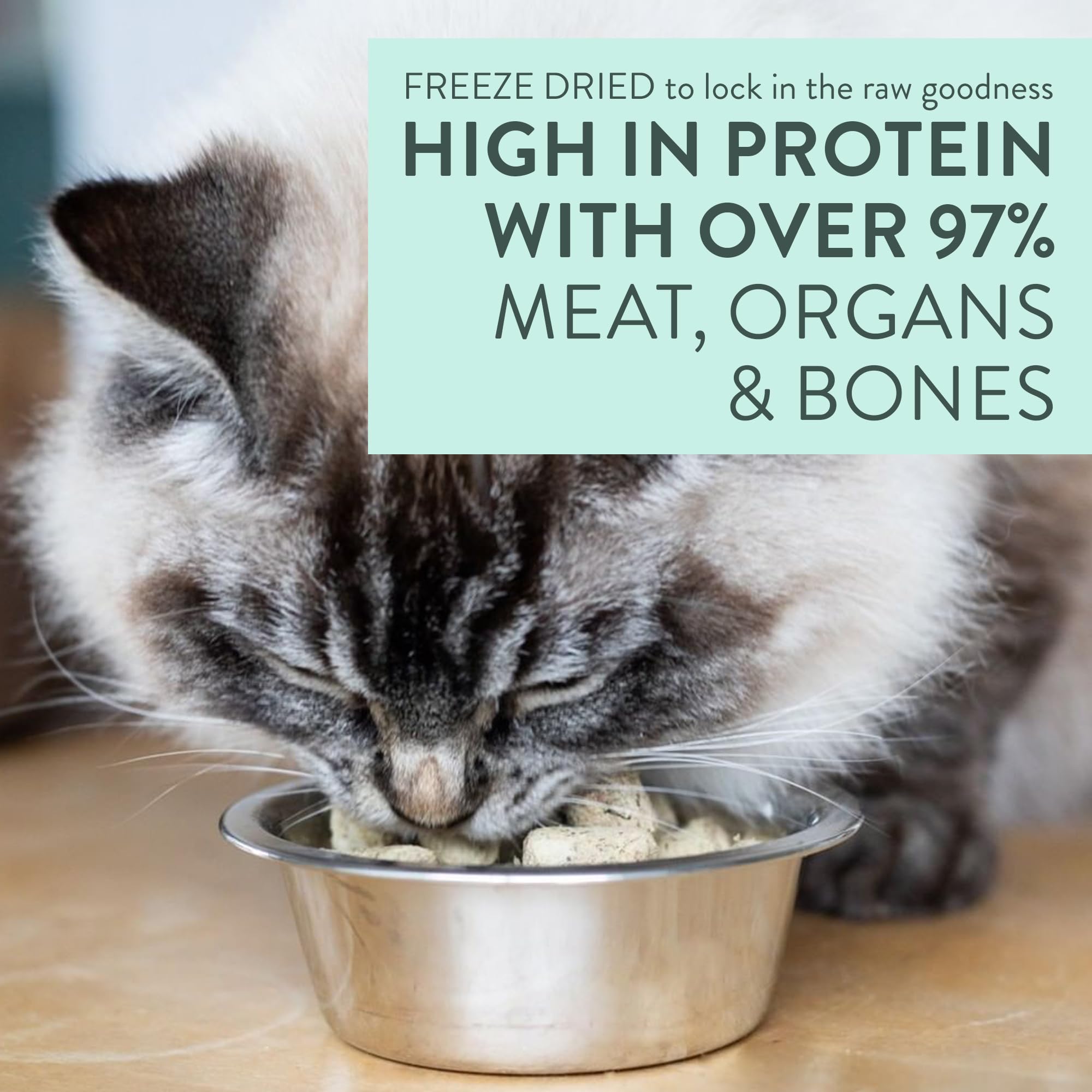 The New Zealand Natural Pet Food Co. Meow Freeze Dried – production durable en Nouvelle-Zélande.