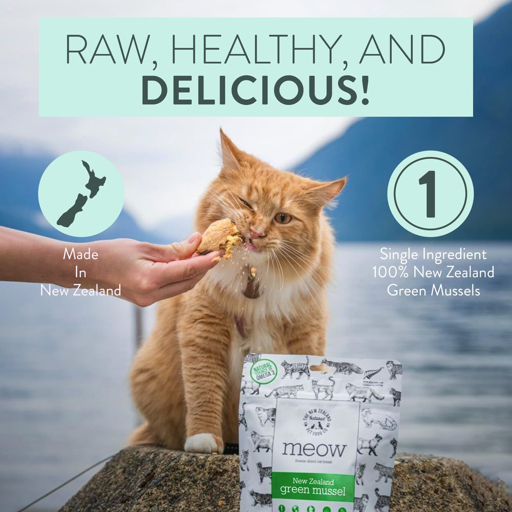 Toppers et friandises Meow adaptés à tous les stades de vie.