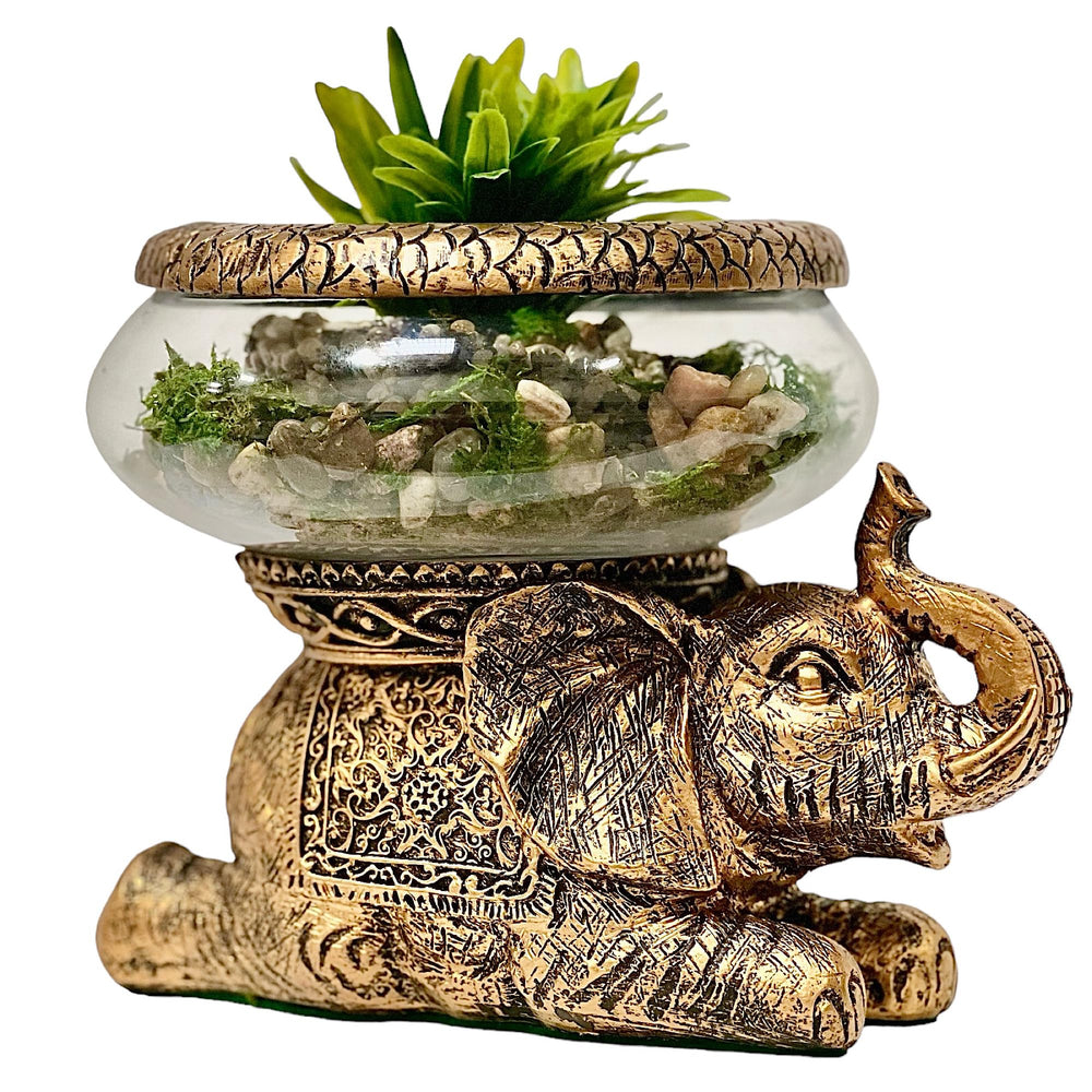 THE NIFTY NOOK Eléphant bol-verre amovible, parfait pour terrarium ou centre de table.