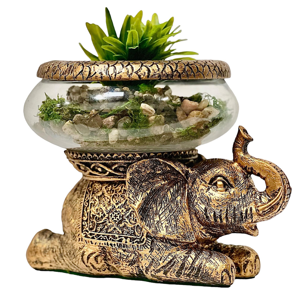 THE NIFTY NOOK Eléphant bol-verre amovible, parfait pour terrarium ou centre de table.