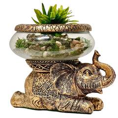 THE NIFTY NOOK Eléphant bol-verre amovible, parfait pour terrarium ou centre de table.