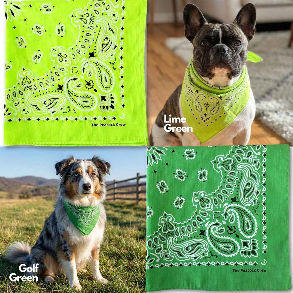 The Peacock Crew bandana bleu-marine, style polyvalent pour sport et sortie