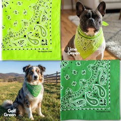 The Peacock Crew bandana bleu-marine, style polyvalent pour sport et sortie