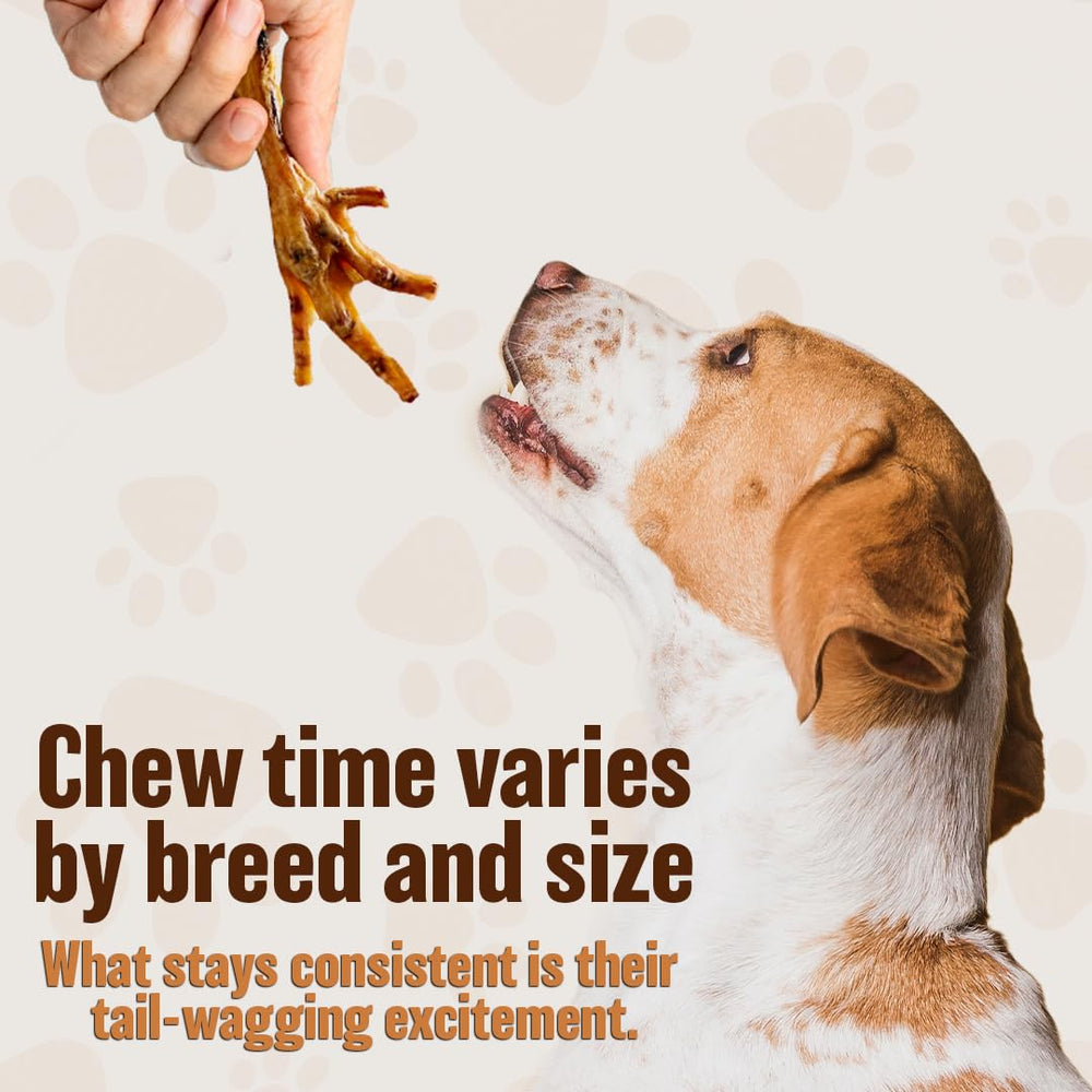 The Primal Theory bien-etre-chien-poulet-seche : bénéfice potentiel pour le confort.