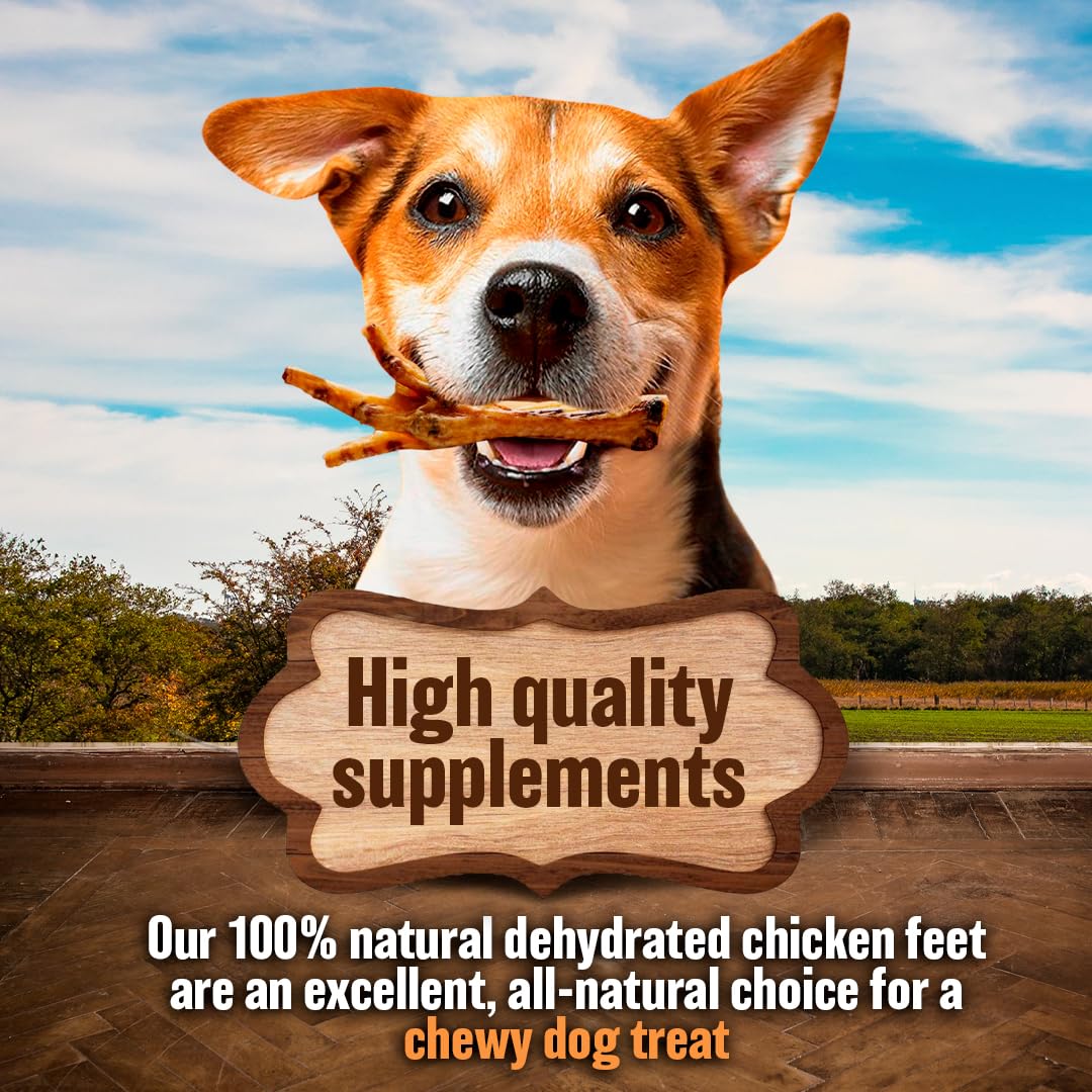 The Primal Theory croquant-poulet-seche-chiens : texture satisfaisante pour la mastication.
