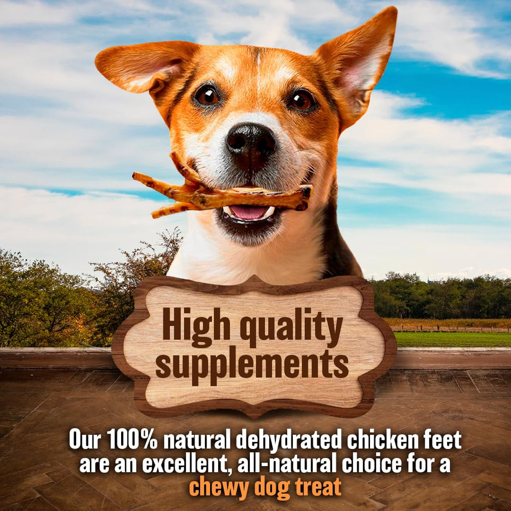 The Primal Theory croquant-poulet-seche-chiens : texture satisfaisante pour la mastication.