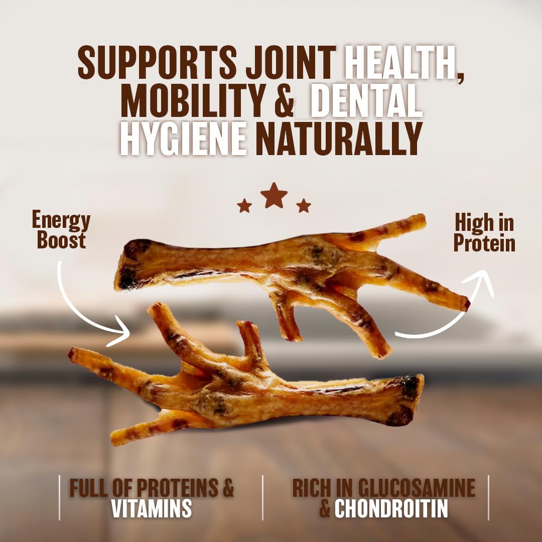 The Primal Theory source-ecologique-poulet-seche : produit fabriqué aux États-Unis de manière durable.