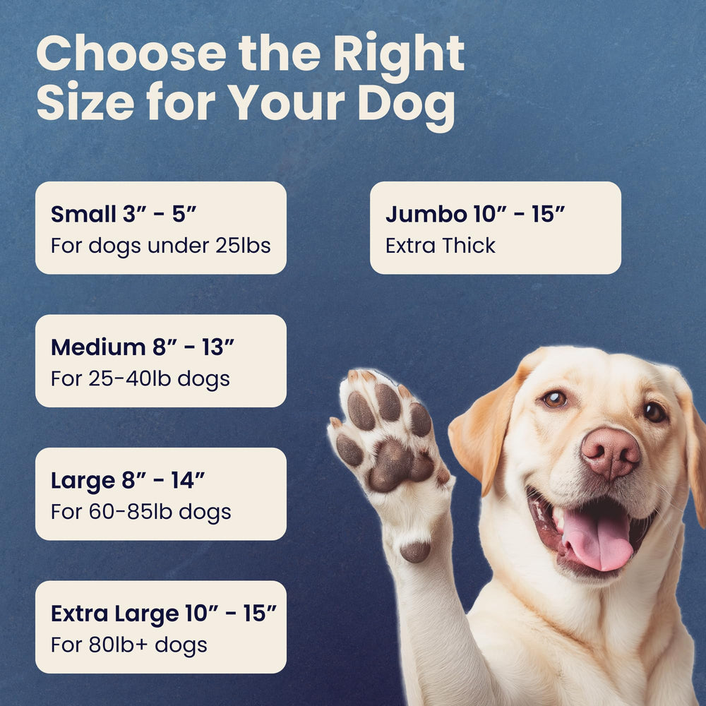 The Proper Hound usage quotidien chiens, solution naturelle pour occuper votre compagnon.
