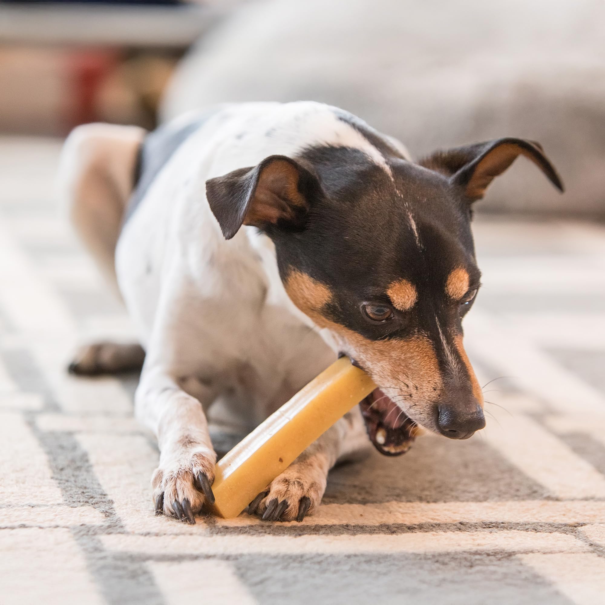 The Safe Dog Chew Company - Format grande taille, idéal pour grandes races