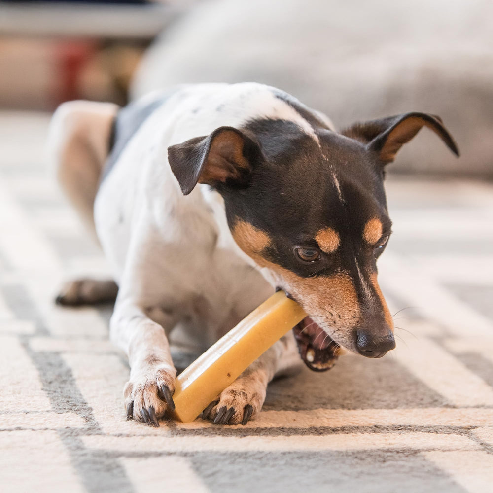The Safe Dog Chew Company - Format grande taille, idéal pour grandes races
