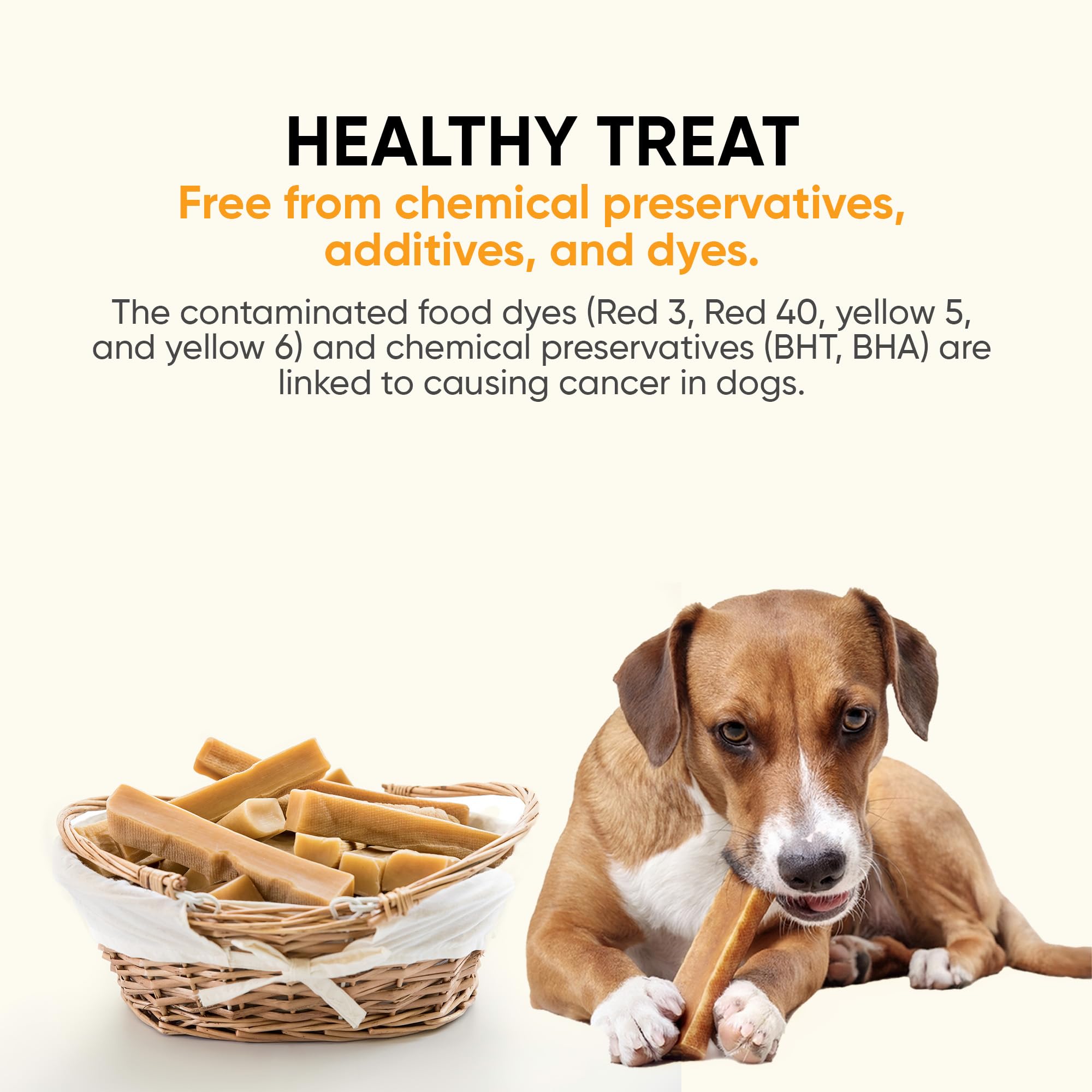 The Safe Dog Chew Company – mastication qui nettoie les dents des chiens
